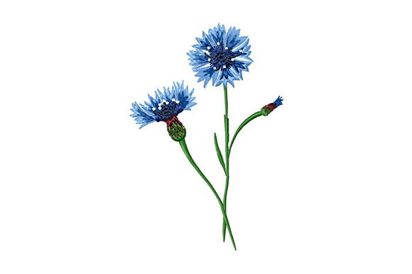 Bouquet of Cornflowers: A Thoughtful Embroidery for Meaningful Gifts