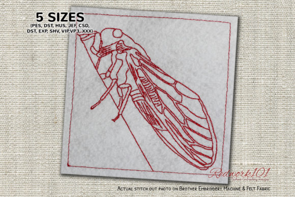 Cicada Lineart: A Boutique Embroidery Review