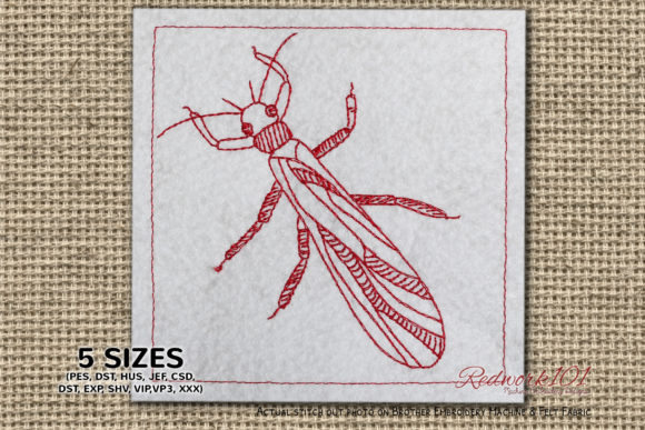 Stoneflies Insect Bluework