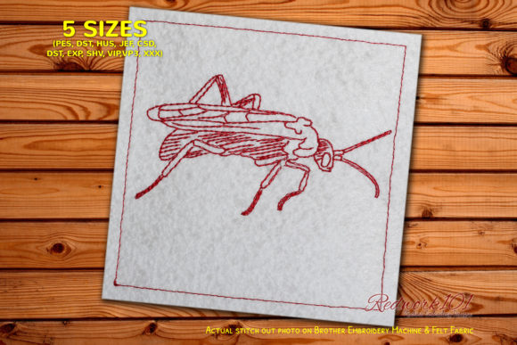 Tarantula Hawk Lineart: Bold & Unexpected