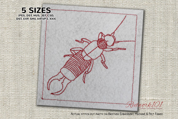 Wild Earwig Lineart: A Seasonal Embroidery Gem